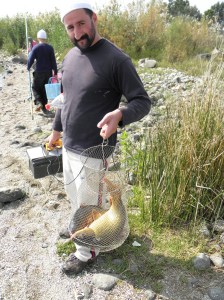 OLYMPUS DIGITAL CAMERA