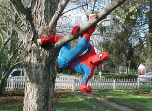 TreeSpiderMan