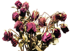 roseDEAD