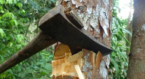 treeaxe