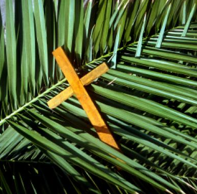 PalmCross
