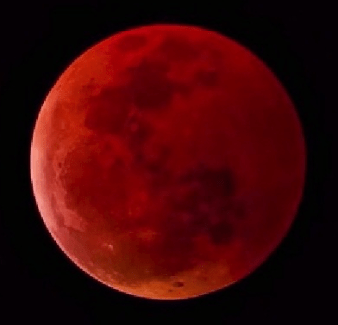bloodmoon