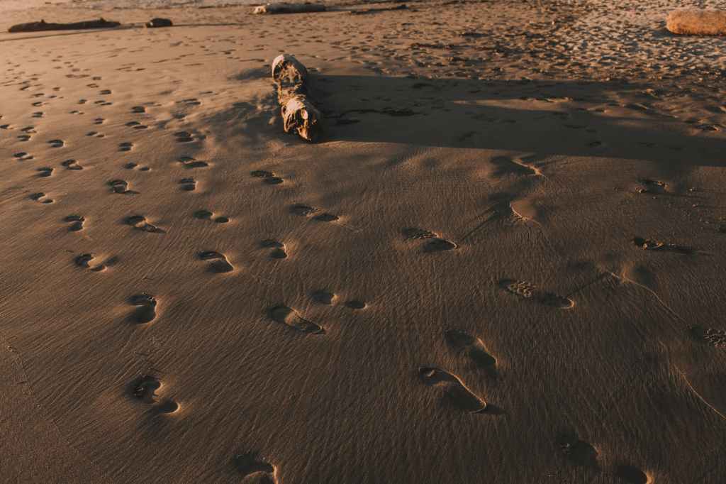 photo of footprints on beach